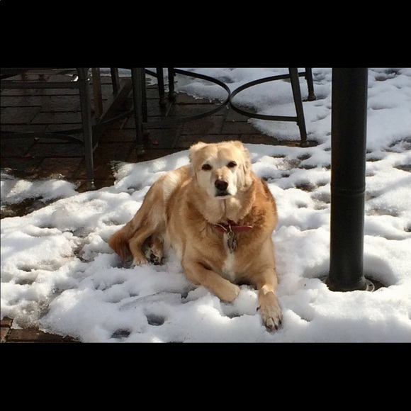 Meet your posher- John (aka whocaresdamnit) - Picture 2 of 14